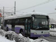 Imagine atasata: Autobuze - 2018.12.16 - 01.jpg